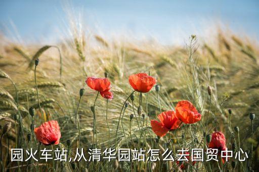 清华园火车站,从清华园站怎么去国贸中心?