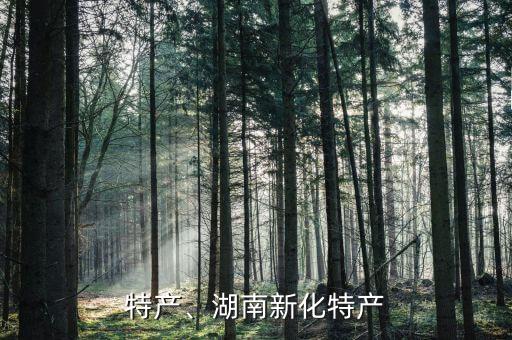 新化特产、湖南新化特产