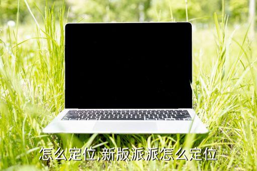 怎么定位,新版派派怎么定位