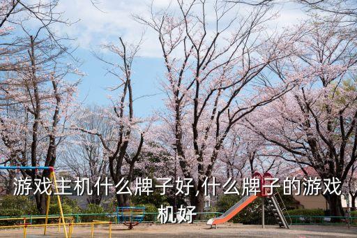 游戏主机什么牌子好,什么牌子的游戏机好