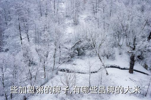 有哪些加盟粥的牌子,有哪些品牌的大米?