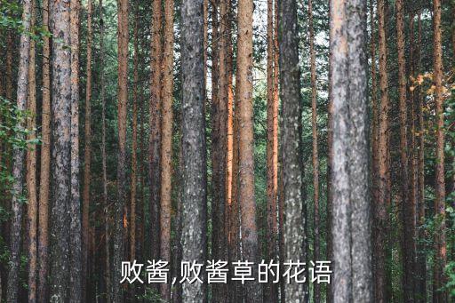 黄花败酱,败酱草的花语
