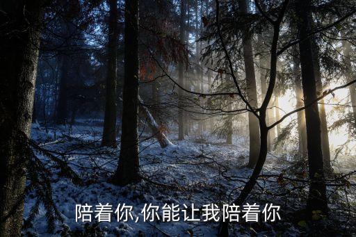 让我陪着你,你能让我陪着你
