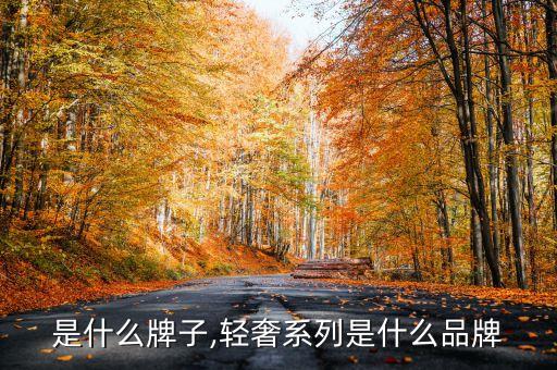 是什么牌子,轻奢系列是什么品牌