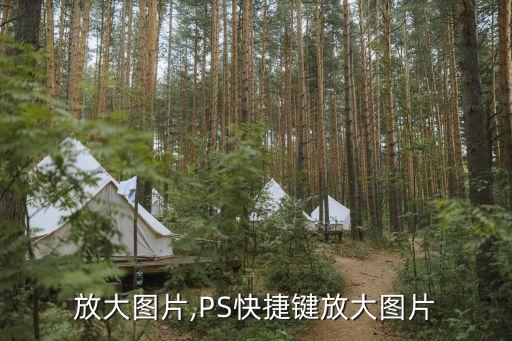 放大图片,PS快捷键放大图片