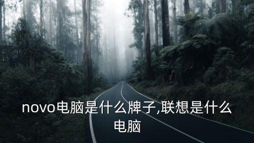 novo电脑是什么牌子,联想是什么电脑