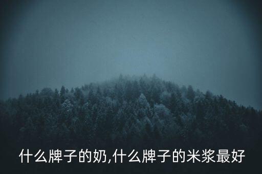 米粒 什么牌子的奶,什么牌子的米浆最好?