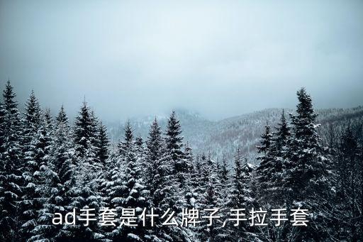 ad手套是什么牌子,手拉手套