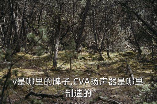 v是哪里的牌子,CVA扬声器是哪里制造的