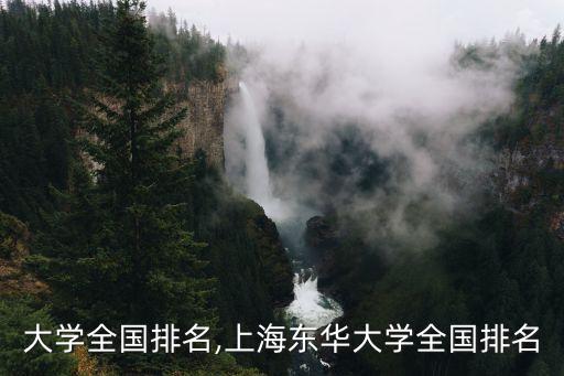 大学全国排名,上海东华大学全国排名