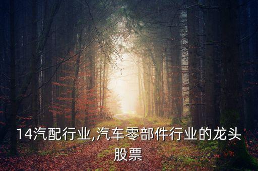 2014汽配行业,汽车零部件行业的龙头股票