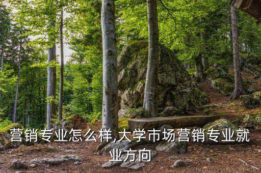 营销专业怎么样,大学市场营销专业就业方向