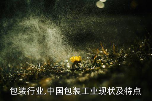 包装行业,中国包装工业现状及特点