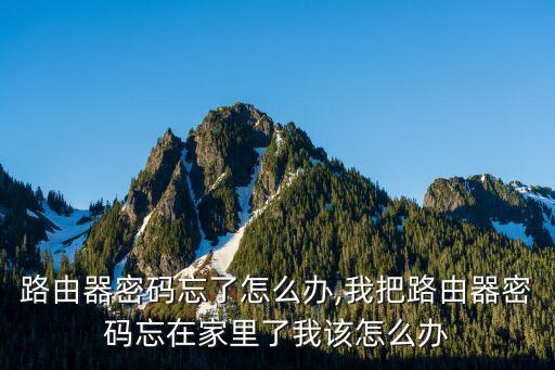 路由器密码忘了怎么办,我把路由器密码忘在家里了我该怎么办