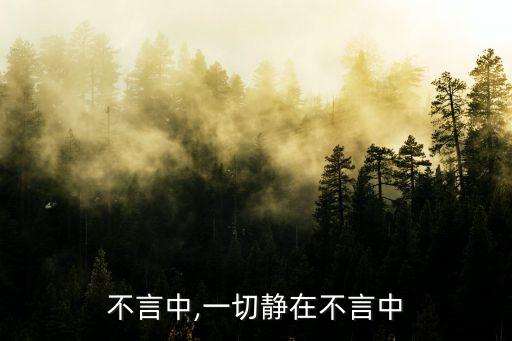 静在不言中,一切静在不言中