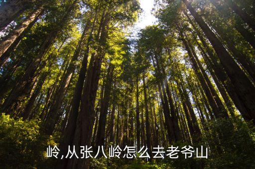 岭,从张八岭怎么去老爷山