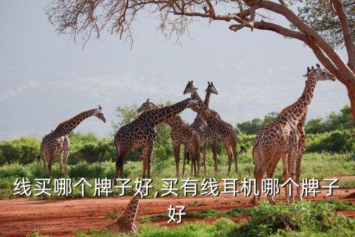 线买哪个牌子好,买有线耳机哪个牌子好