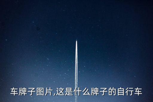 自行车牌子图片,这是什么牌子的自行车?