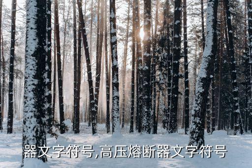 器文字符号,高压熔断器文字符号