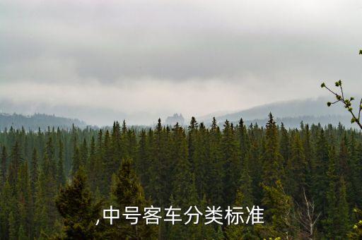 客车,中号客车分类标准