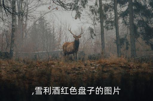 ,雪利酒红色盘子的图片