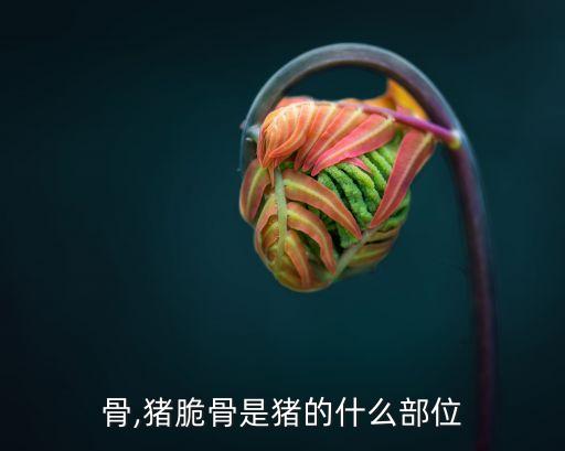 猪软骨,猪脆骨是猪的什么部位?