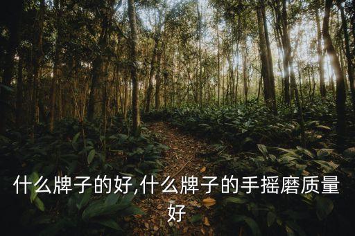 手磨什么牌子的好,什么牌子的手摇磨质量好?