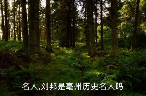 亳州名人,刘邦是亳州历史名人吗?