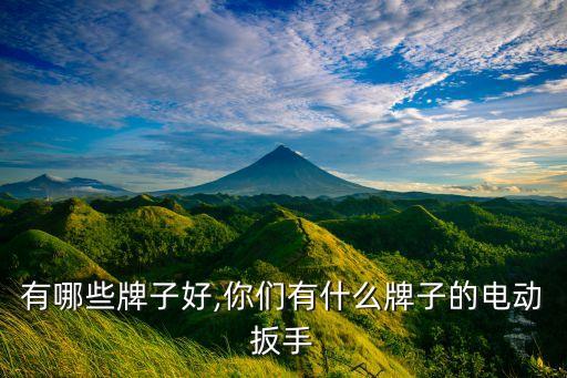 有哪些牌子好,你们有什么牌子的电动扳手