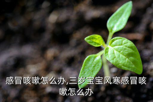 感冒咳嗽怎么办,三岁宝宝风寒感冒咳嗽怎么办