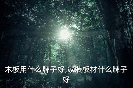 木板用什么牌子好,家装板材什么牌子好