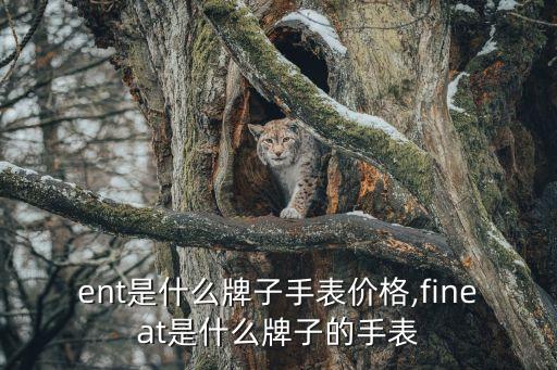 flent是什么牌子手表价格,fineat是什么牌子的手表?