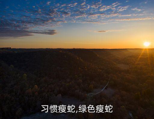 生活习惯瘦蛇,绿色瘦蛇