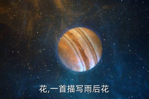 雨后花,一首描写雨后花
