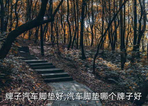 哪个牌子汽车脚垫好,汽车脚垫哪个牌子好?