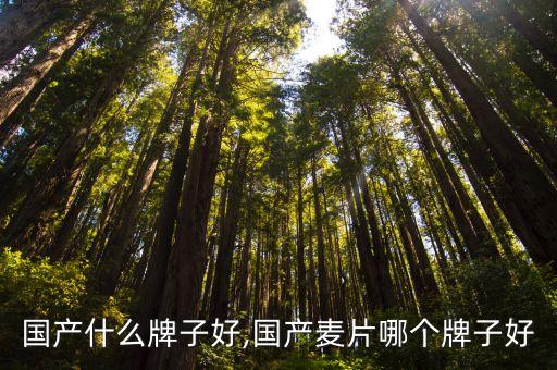 国产什么牌子好,国产麦片哪个牌子好
