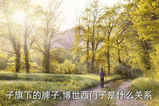子旗下的牌子,博世西门子是什么关系