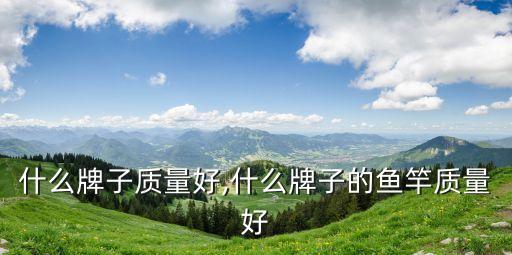 什么牌子质量好,什么牌子的鱼竿质量好