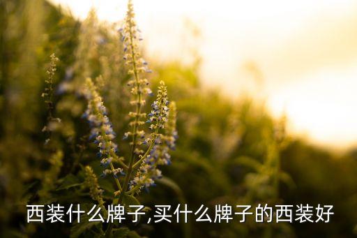 阿信 西装什么牌子,买什么牌子的西装好?