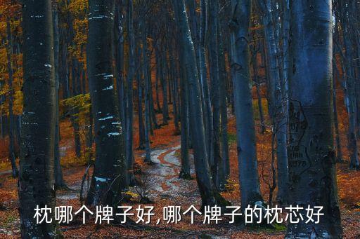 鹅毛枕哪个牌子好,哪个牌子的枕芯好?