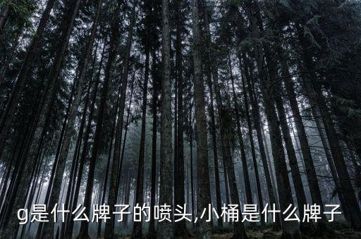 keg是什么牌子的喷头,小桶是什么牌子?