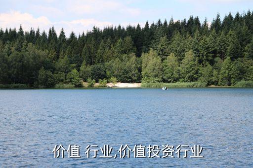  价值 行业,价值投资行业
