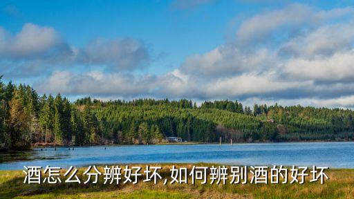 葡萄酒怎么分辨好坏,如何辨别酒的好坏?