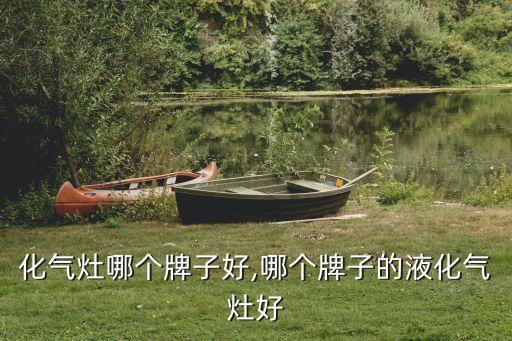 化气灶哪个牌子好,哪个牌子的液化气灶好