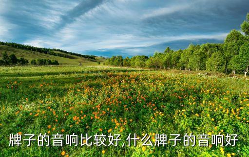 什么牌子的音响比较好,什么牌子的音响好?