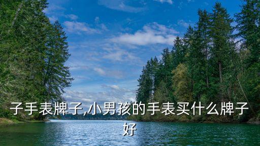 子手表牌子,小男孩的手表买什么牌子好