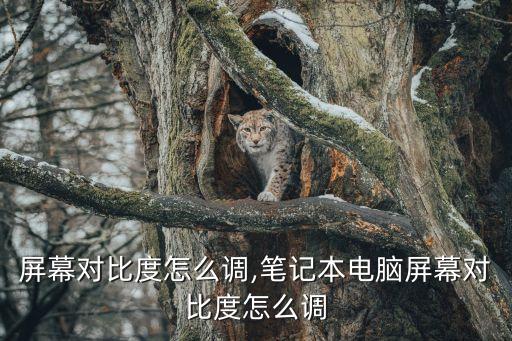 屏幕对比度怎么调,笔记本电脑屏幕对比度怎么调