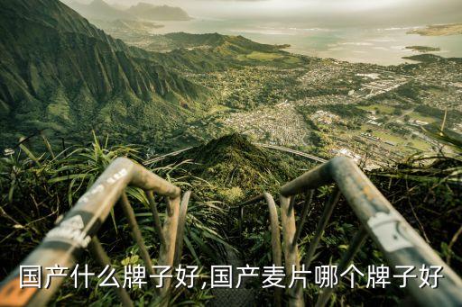 国产什么牌子好,国产麦片哪个牌子好