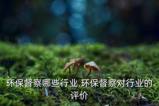 8月环保督察哪些行业,环保督察对行业的评价