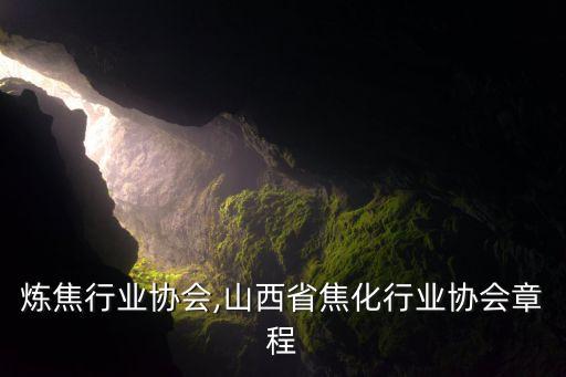 中国炼焦行业协会,山西省焦化行业协会章程